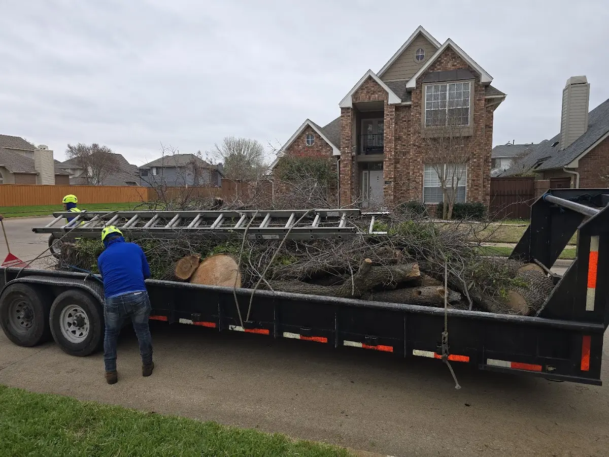 Expert Lot Clearing with proper safety equipment in Ringsted